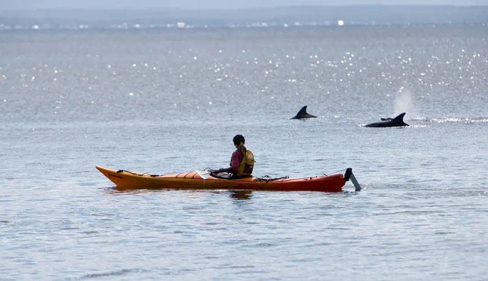 Sea Kayak Jervis Bay WEB 008