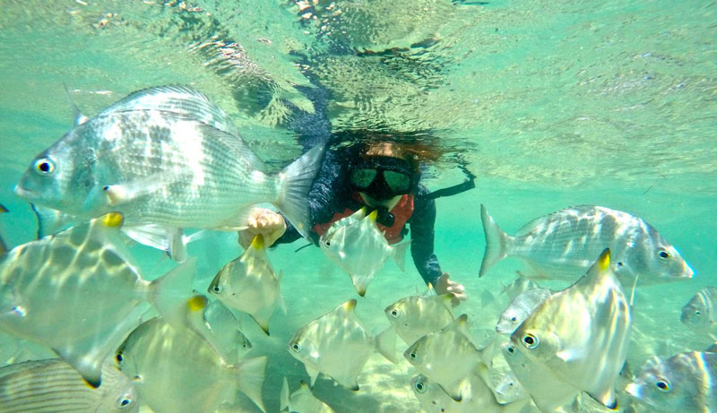 DCIM100GOPROGOPR9193.