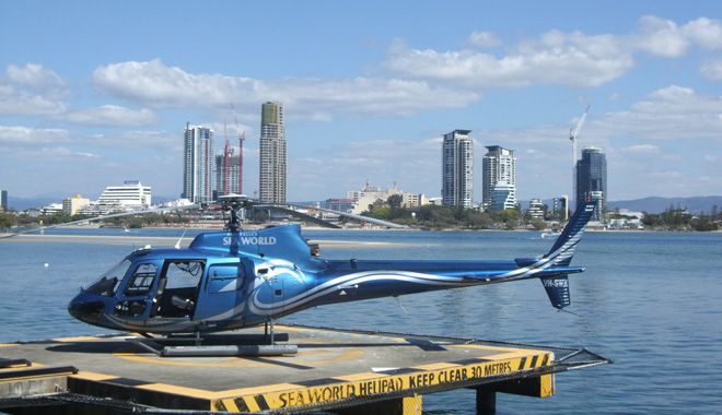 Seaworld 009