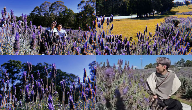 Sirromet Winery L001