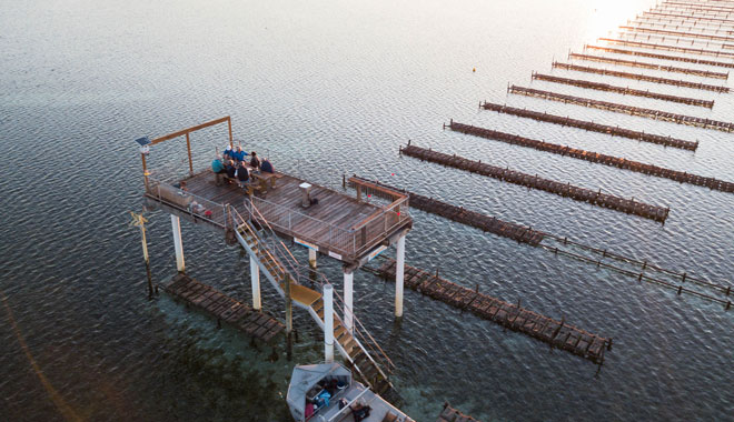 Smokey Bay Oysters experience web