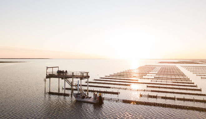 Smokey Bay Oysters lease web