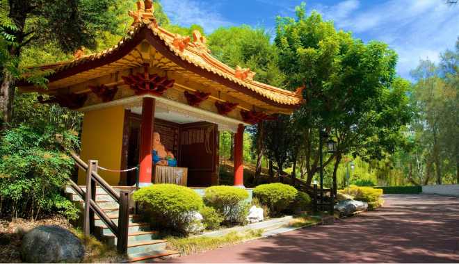 South Coast Private Day Tour Seacliff Bridge, Kiama Blowhole & Scenic Lookouts (13)