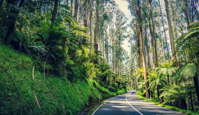South Coast Private Day Tour Seacliff Bridge, Kiama Blowhole & Scenic Lookouts (14)