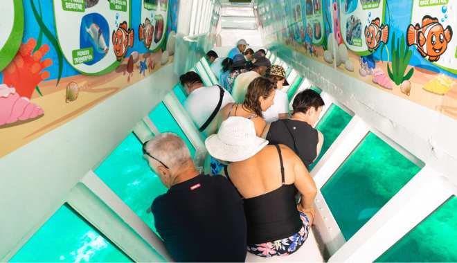 South Sea Island (4)