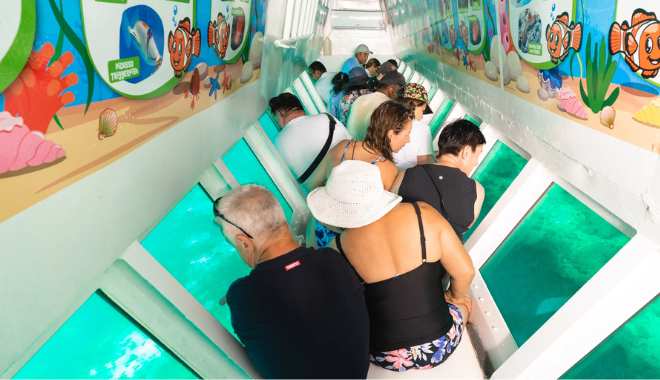 South Sea Island Finding Nemo (8)