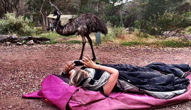 South West Australia Swag Camping (2)
