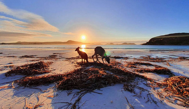 South West Australia Swag Camping (4)