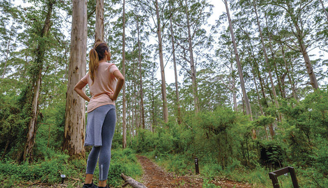 Gloucester National Park, near Pemberton