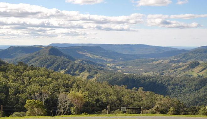 Southern Cross 4WD Tours Rainforest 11