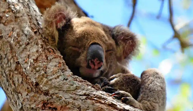 Southern Cross Tour Coombabah Lake 09