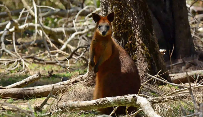 Southern Cross Tour Coombabah Lake 58