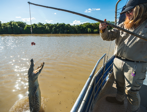 Spectacular Crocodile Cruises