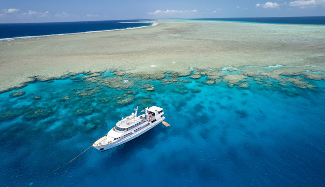 Spirit of Freedom Liveaboard Trip 32