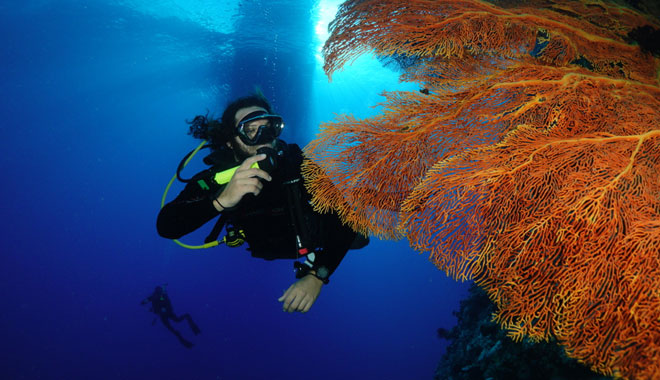 Spirit of Freedom Liveaboard Trip 7 Night 1