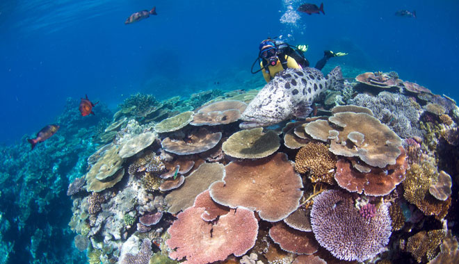 Spirit of Freedom Liveaboard Trip 7 Night 10