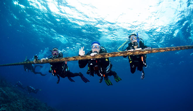 Spirit of Freedom Liveaboard Trip 7 Night 11