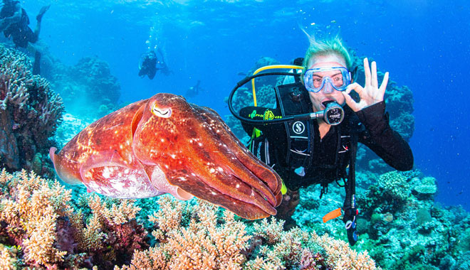 Spirit of Freedom Liveaboard Trip 7 Night 4