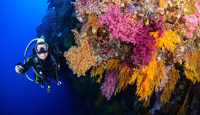 Spirit of Freedom Liveaboard Trip 7 Night 5