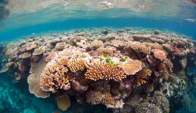 Spirit of Freedom Liveaboard Trip 7 Night 8