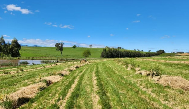 Stag Lane yarra valley 005