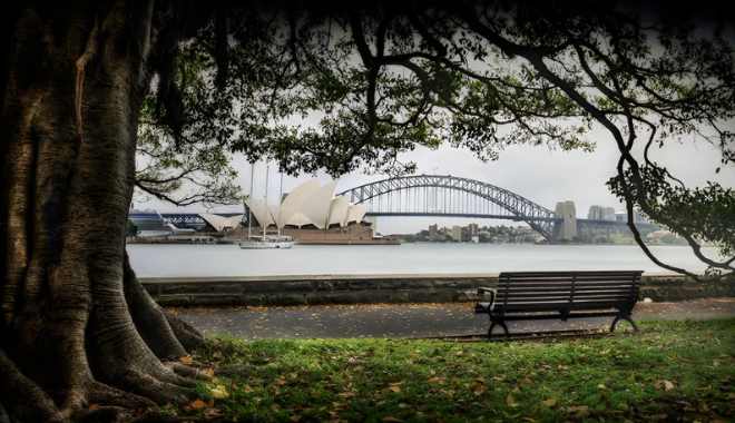 Sydney Experience Bondi Beach, Scenic Coastal Walks & Iconic City Landmarks (13)
