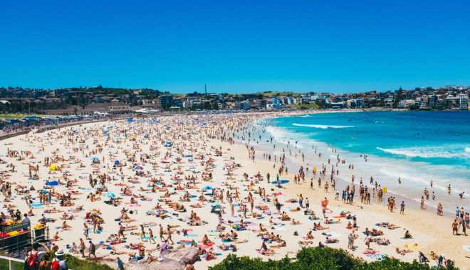 Sydney Experience Bondi Beach, Scenic Coastal Walks & Iconic City Landmarks (8)