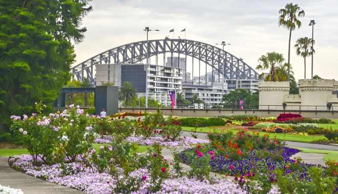 Sydney Experience Bondi Beach, Scenic Coastal Walks & Iconic City Landmarks (9)