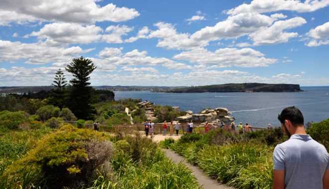 Sydney Guided Sightseeing Bus Tour (2)