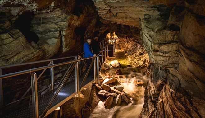 TE ANAU GLOW WORM 19