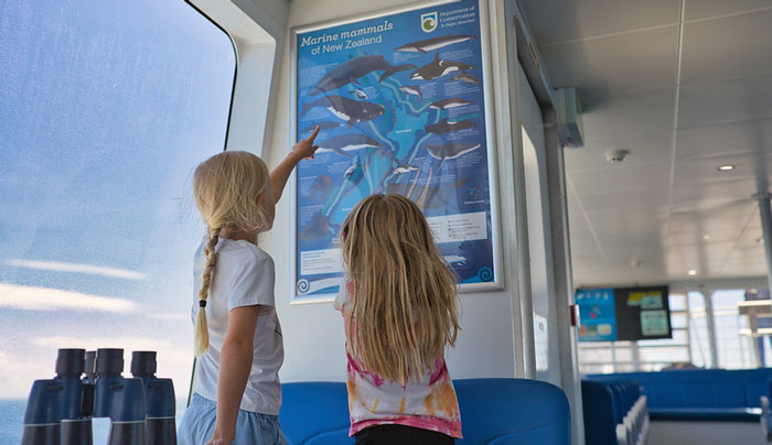 TIKAPA MOANA WHALES 001 web