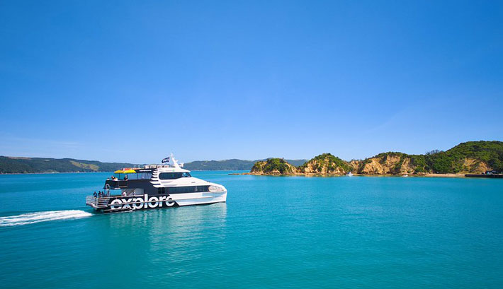 TIKAPA MOANA WHALES 020 web