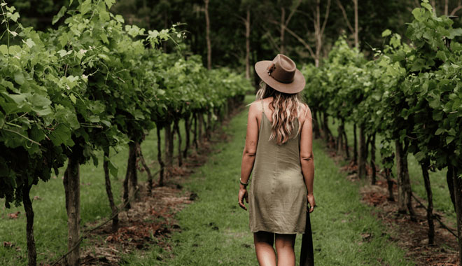 Tamborine Mountain Wine Tasting 2017