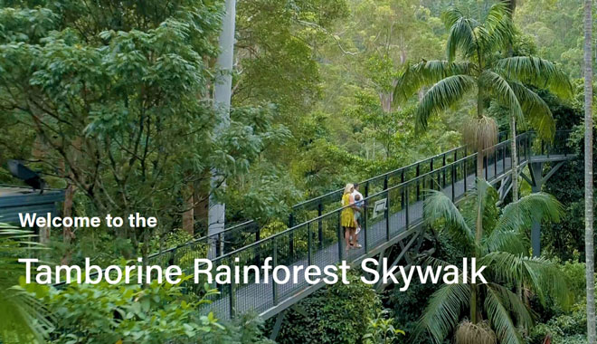 Tamborine Rainforest Skywalk 004