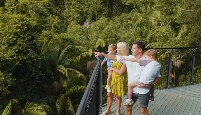 Tamborine Rainforest Skywalk 009