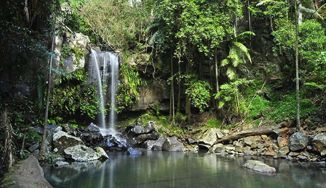 Tamborine Waterfall