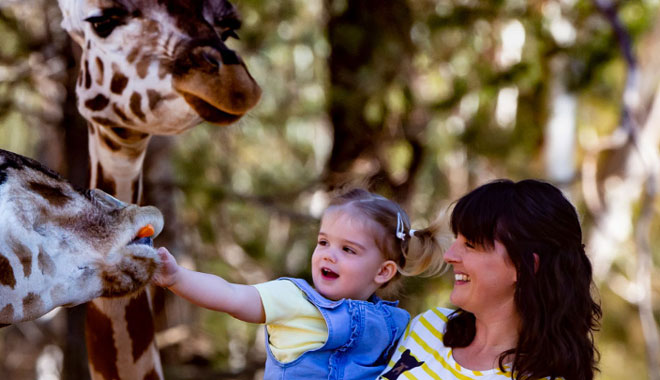 Taronga Western Plains Zoo 01 