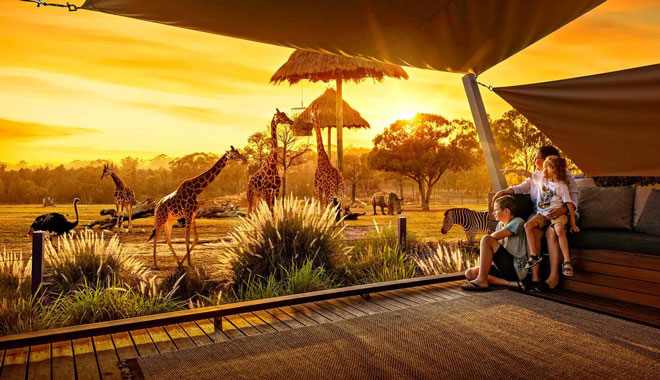 Taronga Western Plains Zoo Dubb3