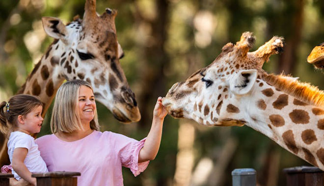 Taronga Western Plains Zoo Dubb4