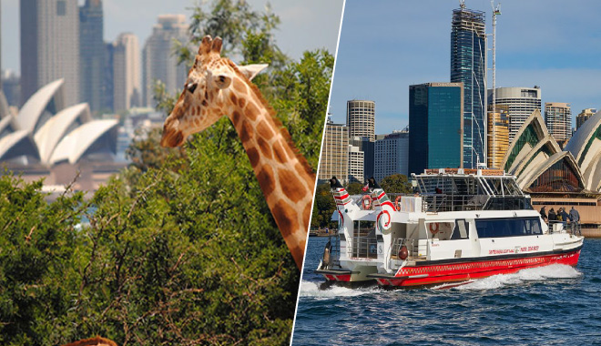 Taronga Zoo+Sydney Harbour Ferry
