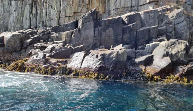 Tasman Island 3Hour Wilderness Cruise 001