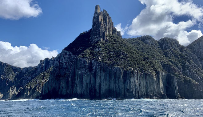 Tasman Island 3Hour Wilderness Cruise 007