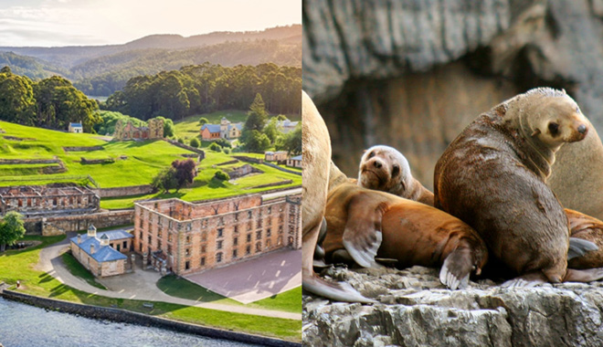 Tasman Island Cruises Full Day Tour + Port Arthur Historic Site 25