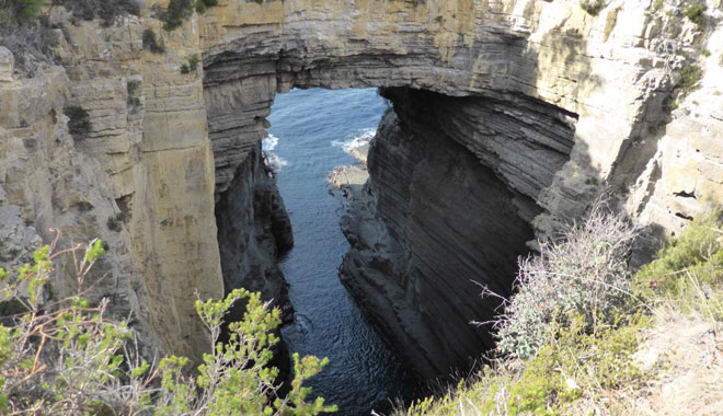 Tasman Safaris   Port Arthur 079