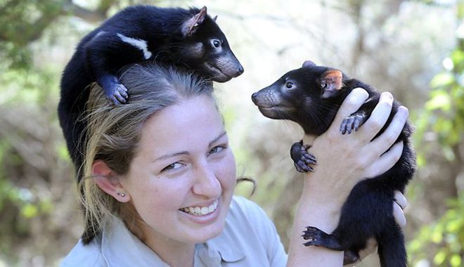 Tasmanian Devil Park 4