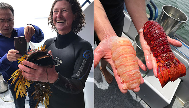 Tasmanian Seafood Seduction 4