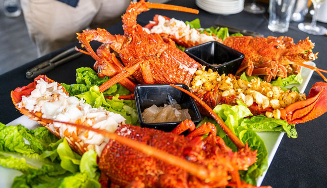 Tasmanian Wild Seafood Adventures onboard meal