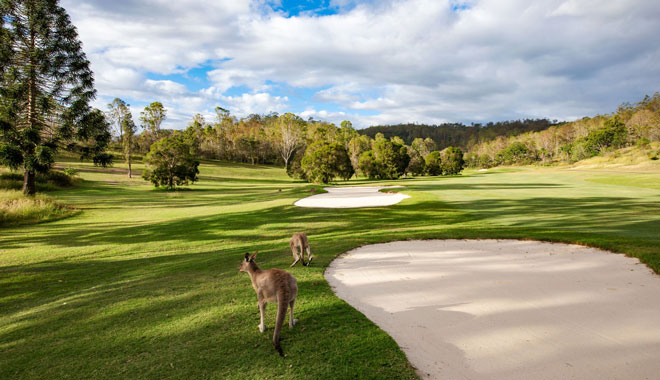 The Kooralbyn Valley 4