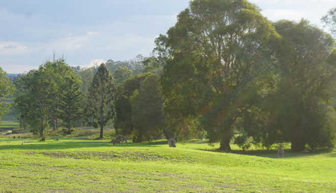 The Kooralbyn Valley Resort with GREEN