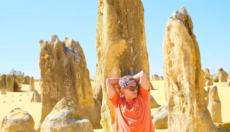 The Pinnacles Desert WA 4002